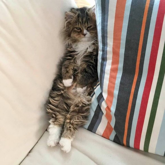 Meet your Posher, K - Picture 1 of 1